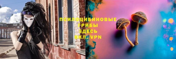 гашик Няндома