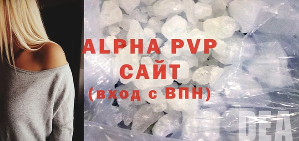 гашик Няндома