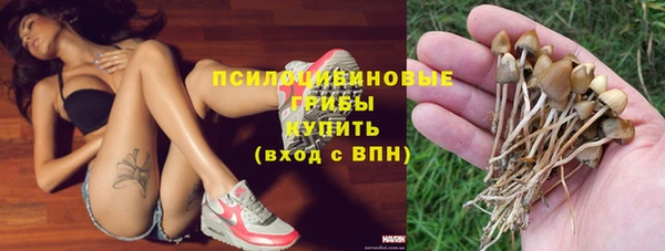 Альфа ПВП Алексин