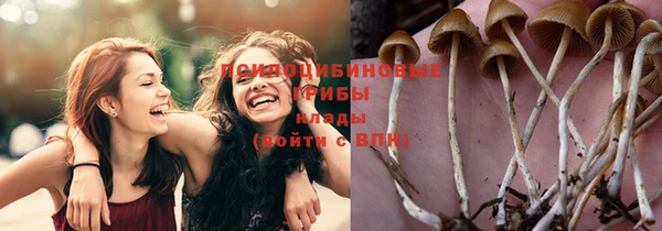 гашик Няндома